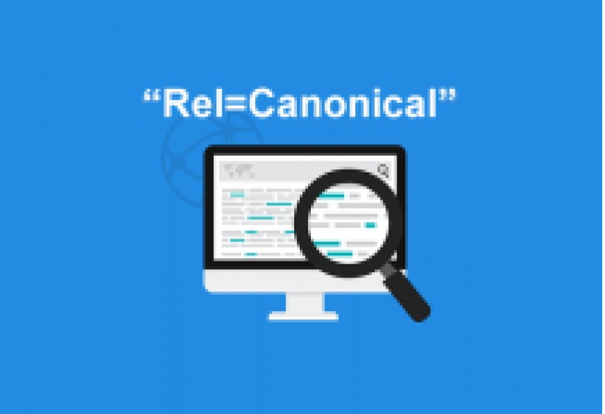 Canonical Url Etiketi Kullanımı