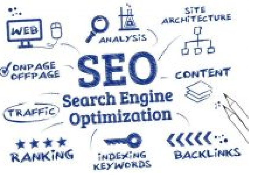 Genel Seo Hizmeti